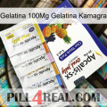 Jelly 100Mg Kamagra Jelly 11